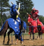 jousting
