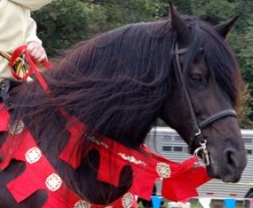 reins with decorations